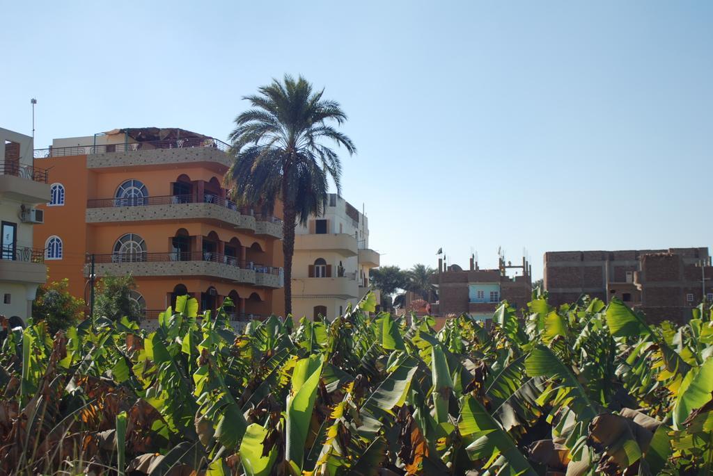 Al Gezera Apartments Luxor Pokoj fotografie